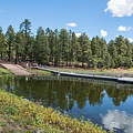 Woodland Lake Pinetop, Arizona