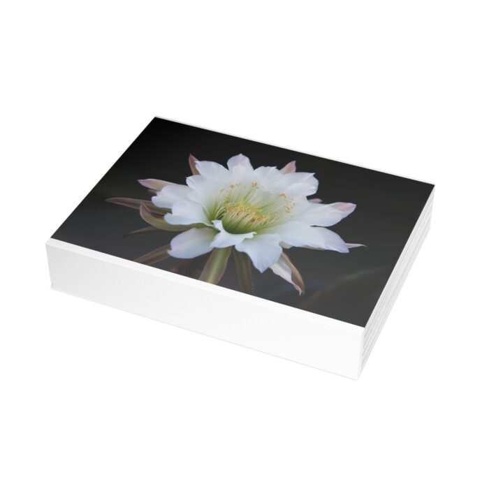 Moonlit Majesty: The Queen of the Night Unfurls Greeting Cards (1, 10, 30, and 50pcs) - Image 276