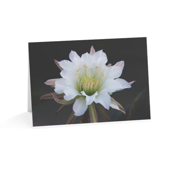 Moonlit Majesty: The Queen of the Night Unfurls Greeting Cards (1, 10, 30, and 50pcs) - Image 71