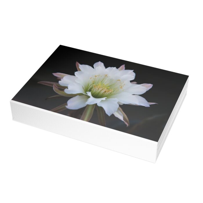 Moonlit Majesty: The Queen of the Night Unfurls Greeting Cards (1, 10, 30, and 50pcs) - Image 408