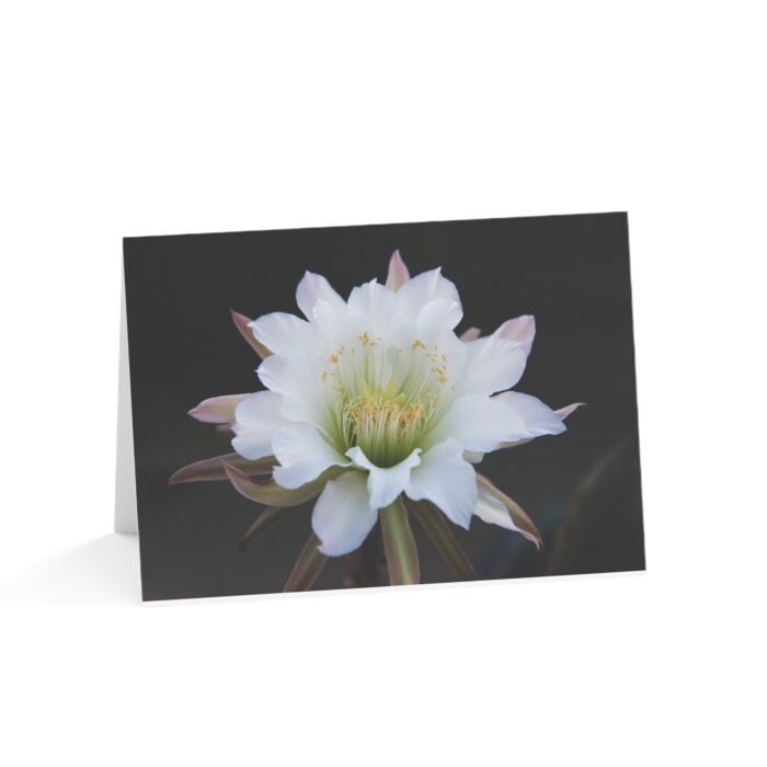 Moonlit Majesty: The Queen of the Night Unfurls Greeting Cards (1, 10, 30, and 50pcs) - Image 9