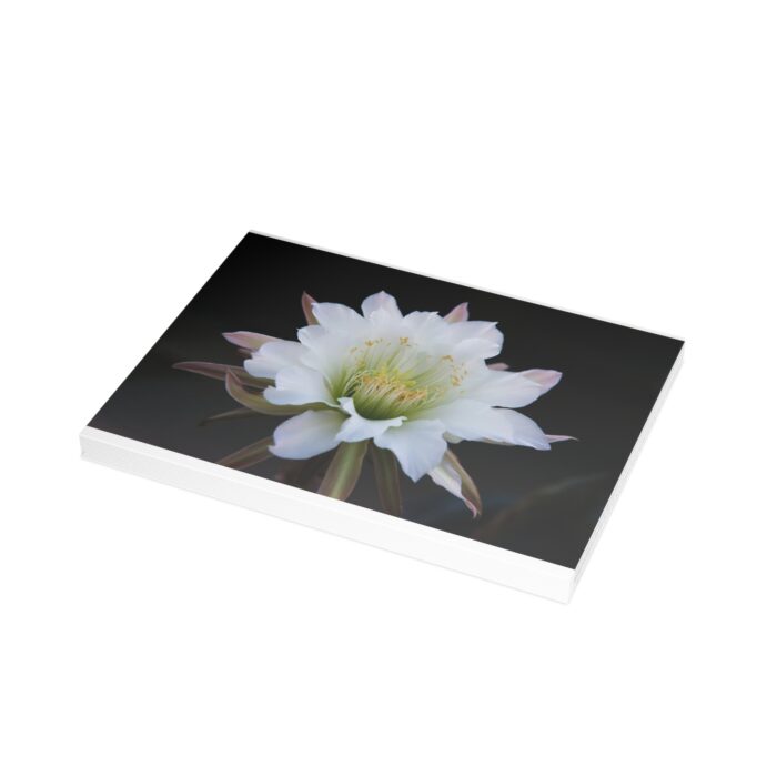 Moonlit Majesty: The Queen of the Night Unfurls Greeting Cards (1, 10, 30, and 50pcs) - Image 197