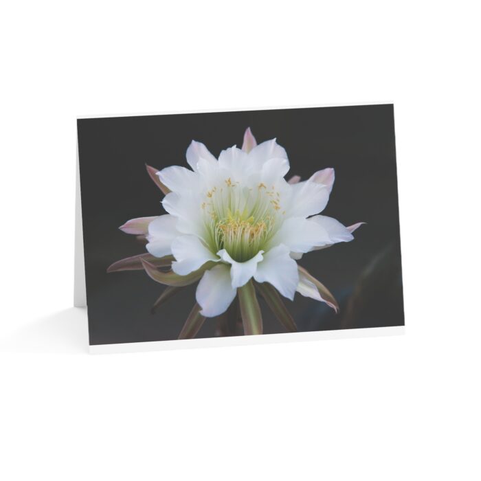 Moonlit Majesty: The Queen of the Night Unfurls Greeting Cards (1, 10, 30, and 50pcs) - Image 149